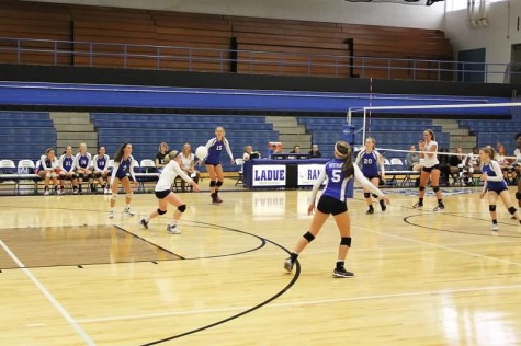 Varsity Volleyball Dominates Troy