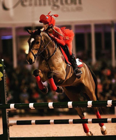 Not Just Horsing Around
