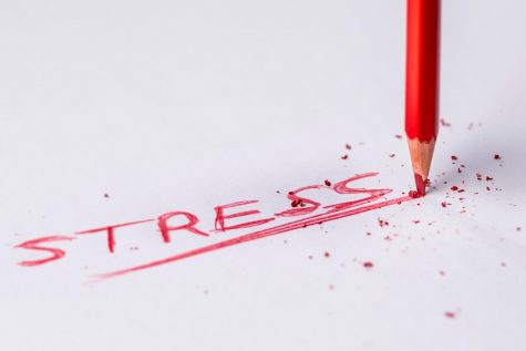 The over-pressured, over-committed, almost “college” student