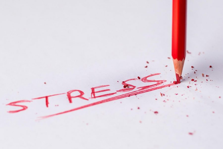 One of the main problems that students cite is stress.