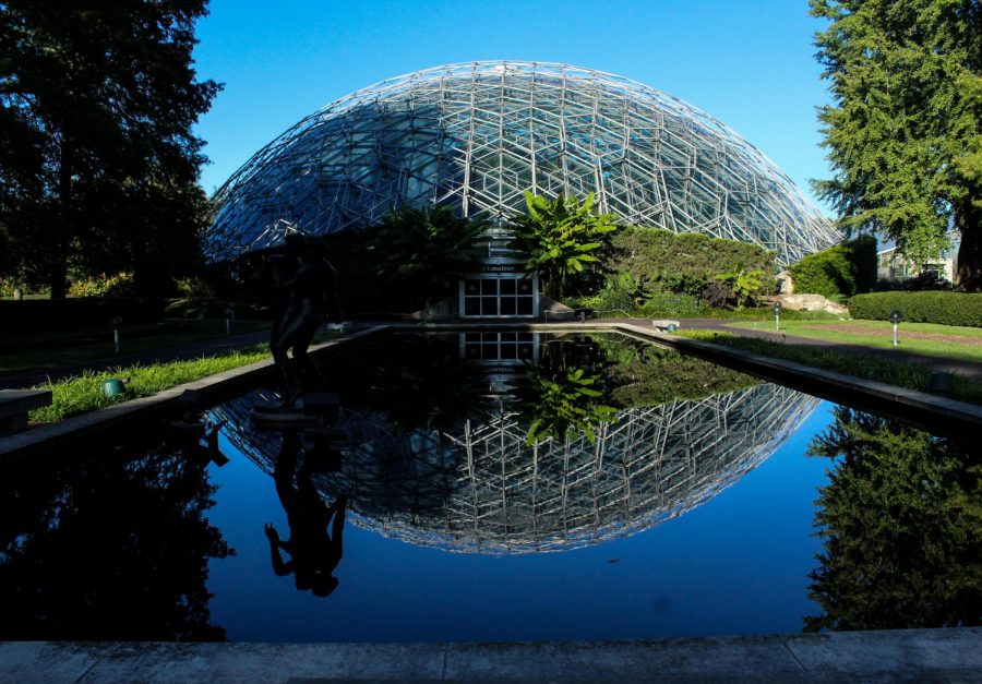 Photography takes a field trip to the Botanical Gardens and spends a day out in STL.