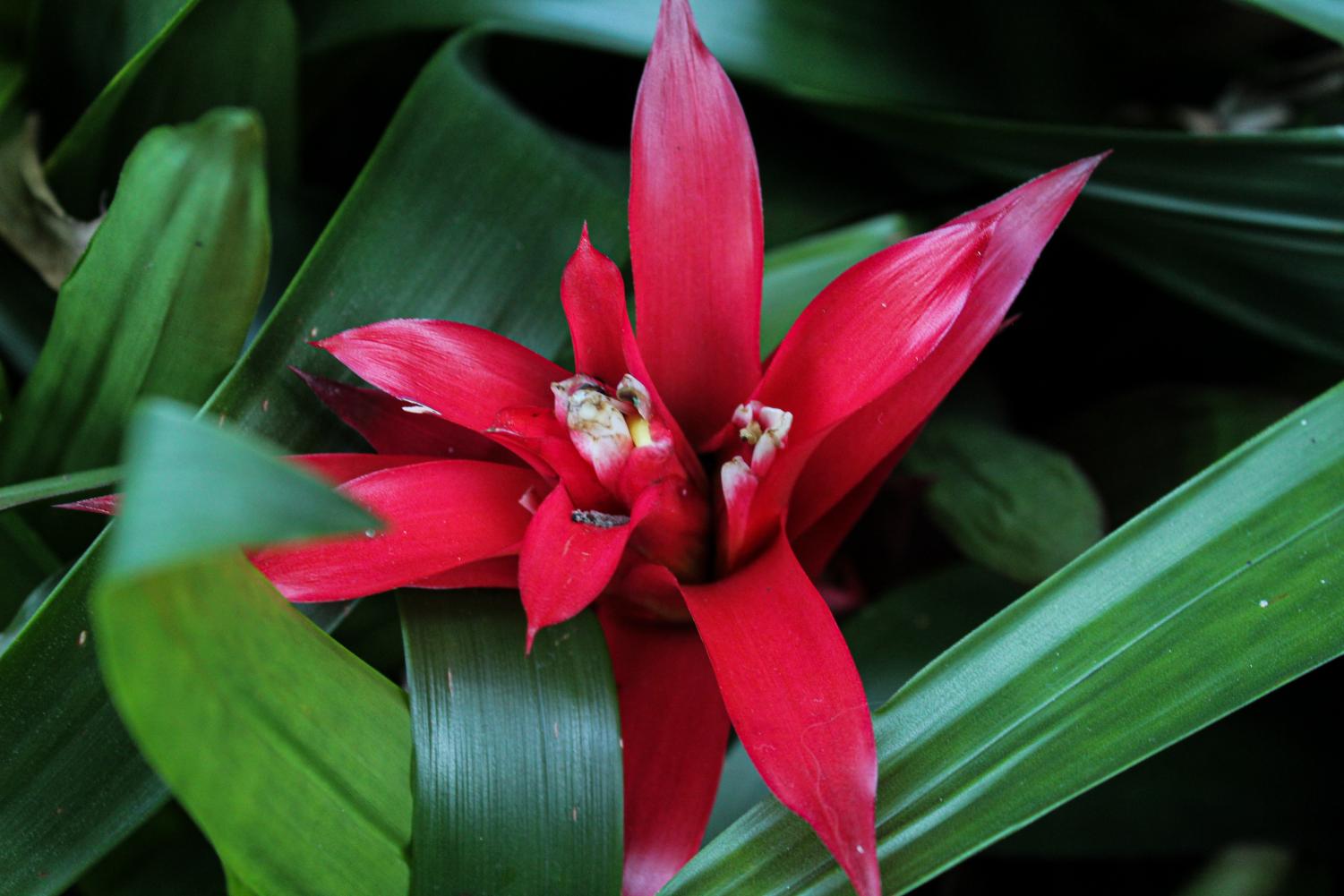 Photo Gallery: Photography Field Trip to the Botanical Gardens