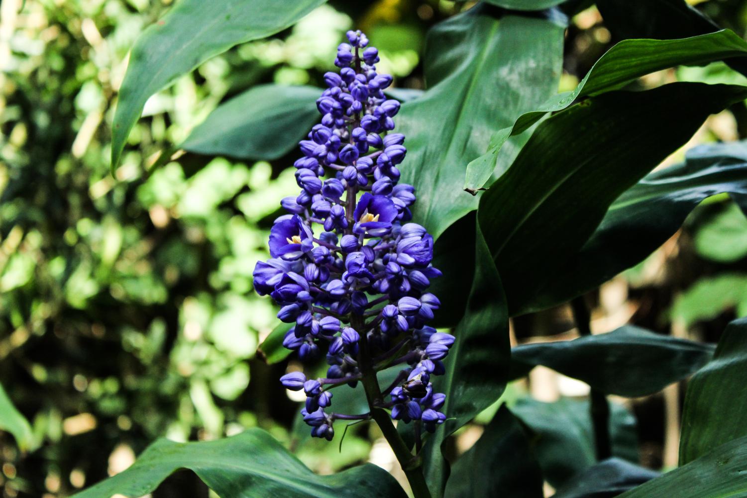 Photo Gallery: Photography Field Trip to the Botanical Gardens
