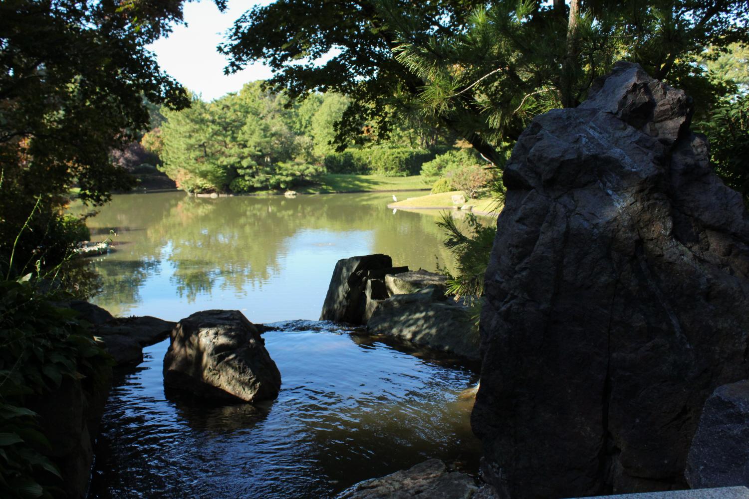 Photo Gallery: Photography Field Trip to the Botanical Gardens