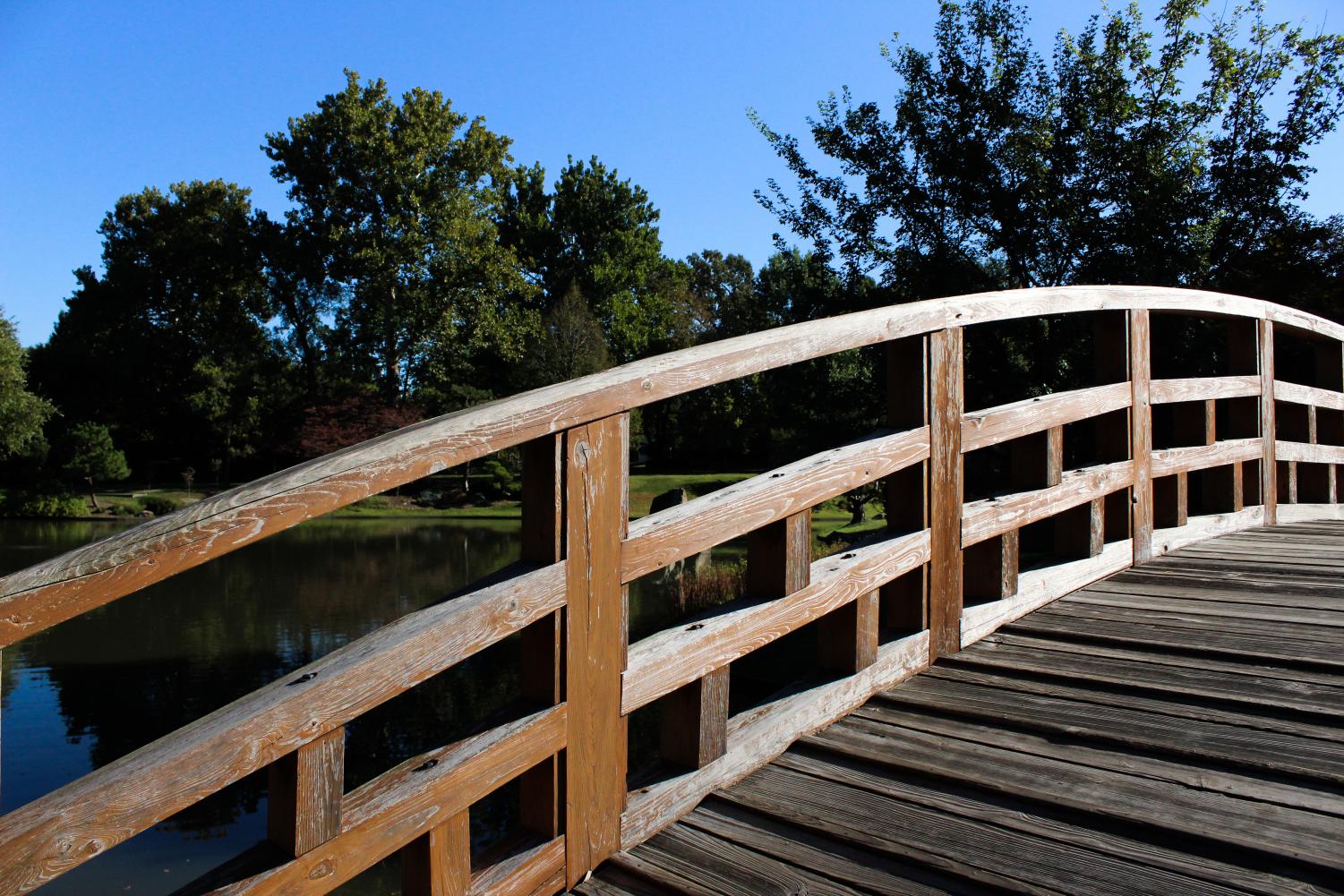 Photo Gallery: Photography Field Trip to the Botanical Gardens