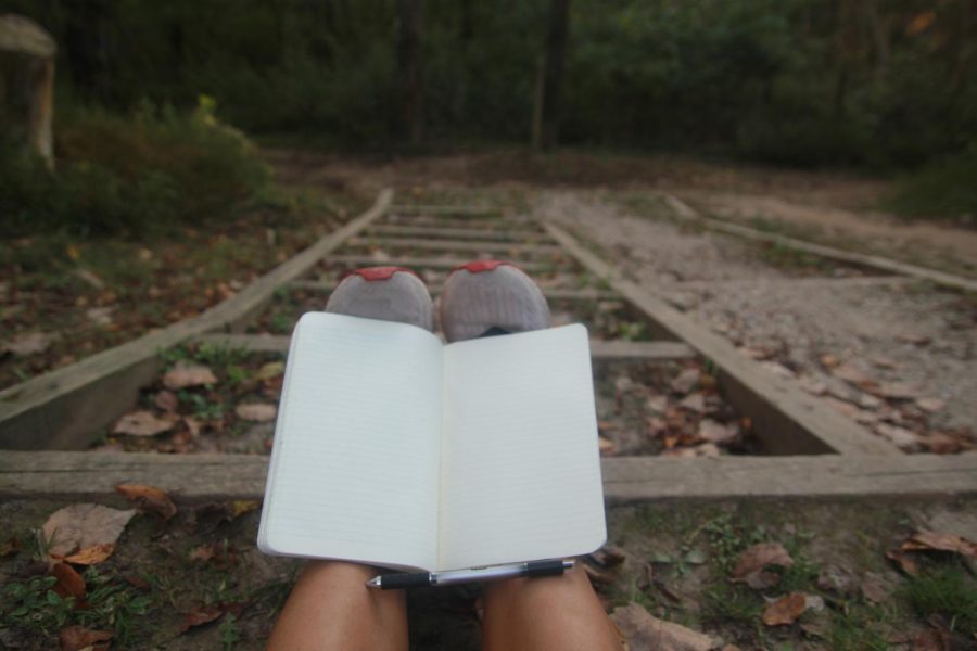 Journaling, exercising, and spending time outside provide numerous mental benefits.