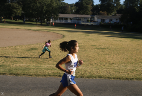 Cross Country State Recap: Ava Hollmann Finishes Ninth, Boys’ Team Finishes Fifth