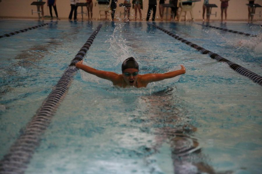 Senior Hope Burkey swims the butterfly in a regular season meet.