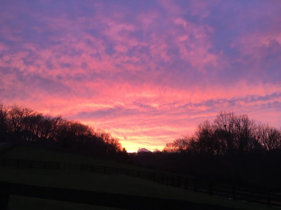 The sunset at my family’s farm last Sunday. I’ve been spending lots of time outside in God’s creation during this quarantine.