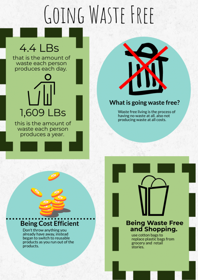 Infographic+of+why%2C+how%2C+ways%2C+and+cost+of+being+waste+free.