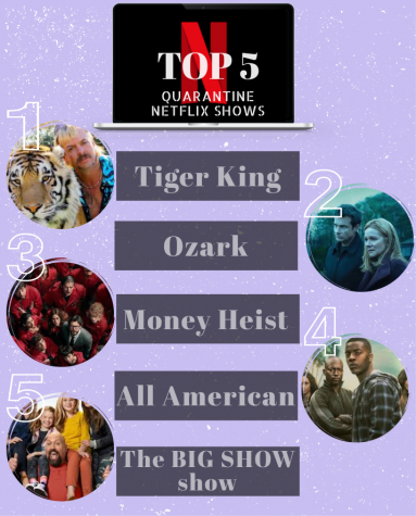 The Wildcat Roar Top 5 Netflix Shows