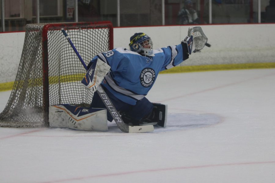 Emily Griege reaches for a save.