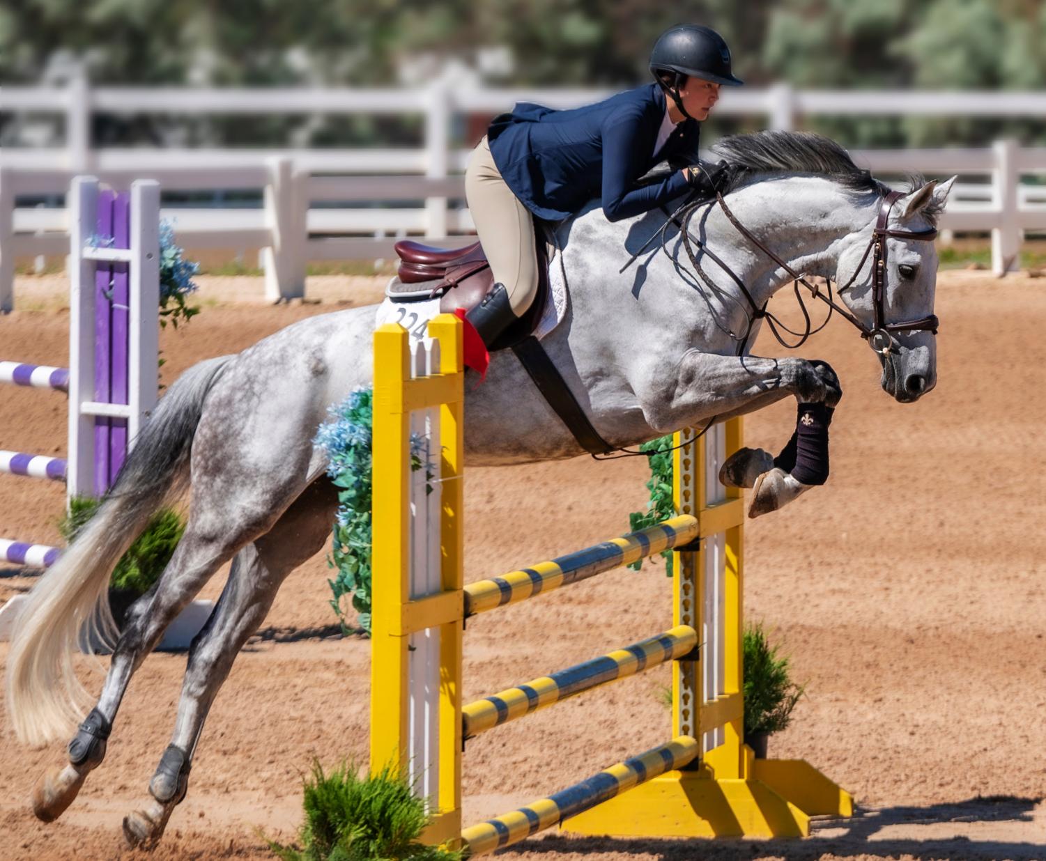 Nyah Kim: A Horseback Riding Champion