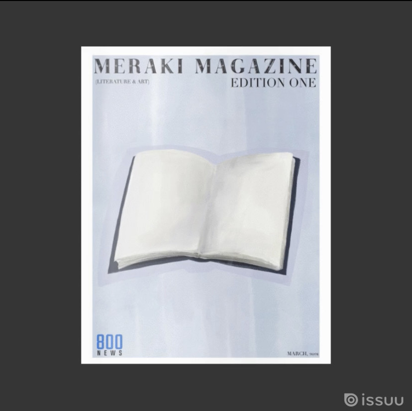 This was the last issue of the meraki magazine. This is showcasing the idea that book can be your canvas. 