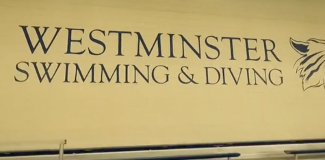 Check out WCA swim and dive team! The boys swim in the fall and the girls swim in the winter! 