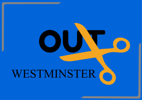 Cut it out Westminster, its time to stop!