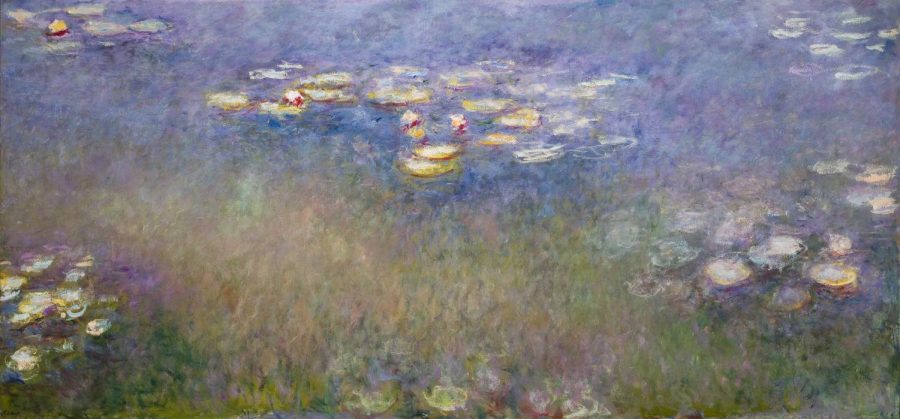 Monets famous Water Lilies painting currently on display at the St. Louis Art Museum.