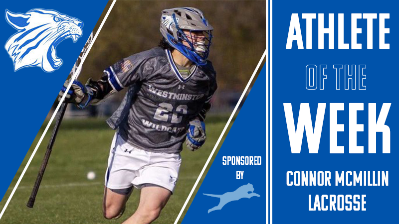 Connor Mcmillin has lit up the Cats' offense this season.