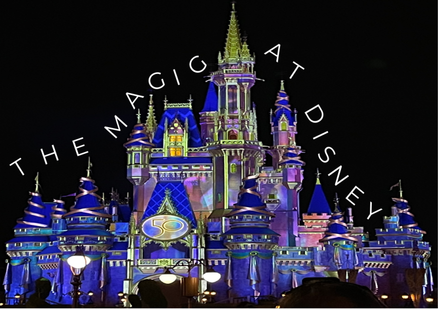 How do the "cast members" impact the magic and joy that happens at Disney?
