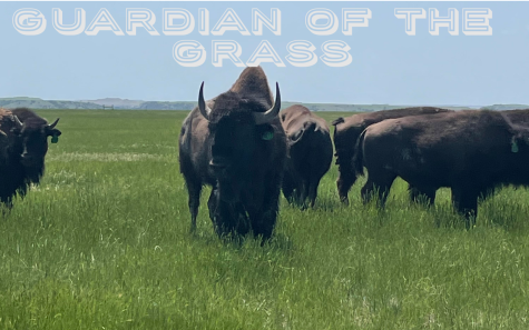 Dan OBrien: Guardian of the Grass