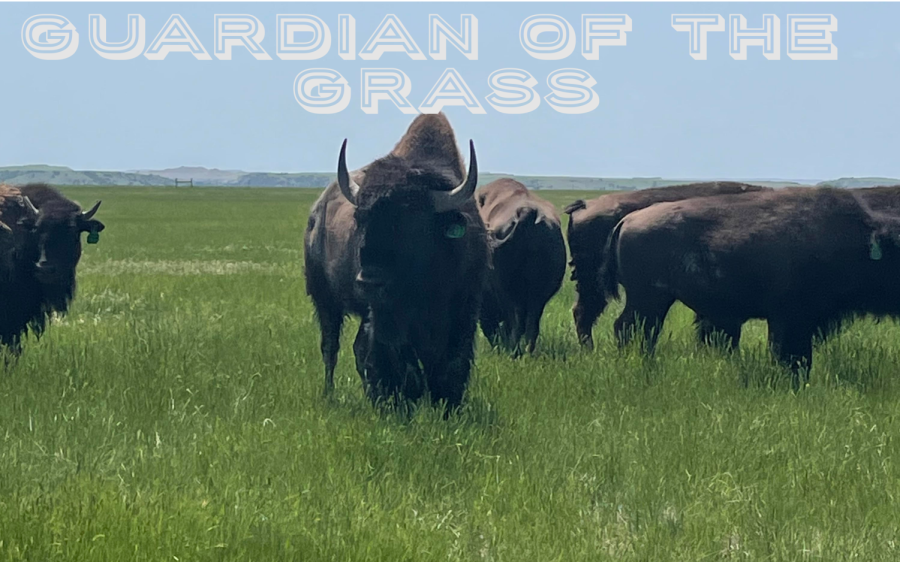 Dan+OBrien%3A+Guardian+of+the+Grass