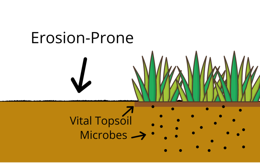 Vacant+and+distrubed+fields+are+highly+prone+to+erosion%2C+significantly+decreasing+soil+health.