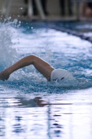 Swim Takes State