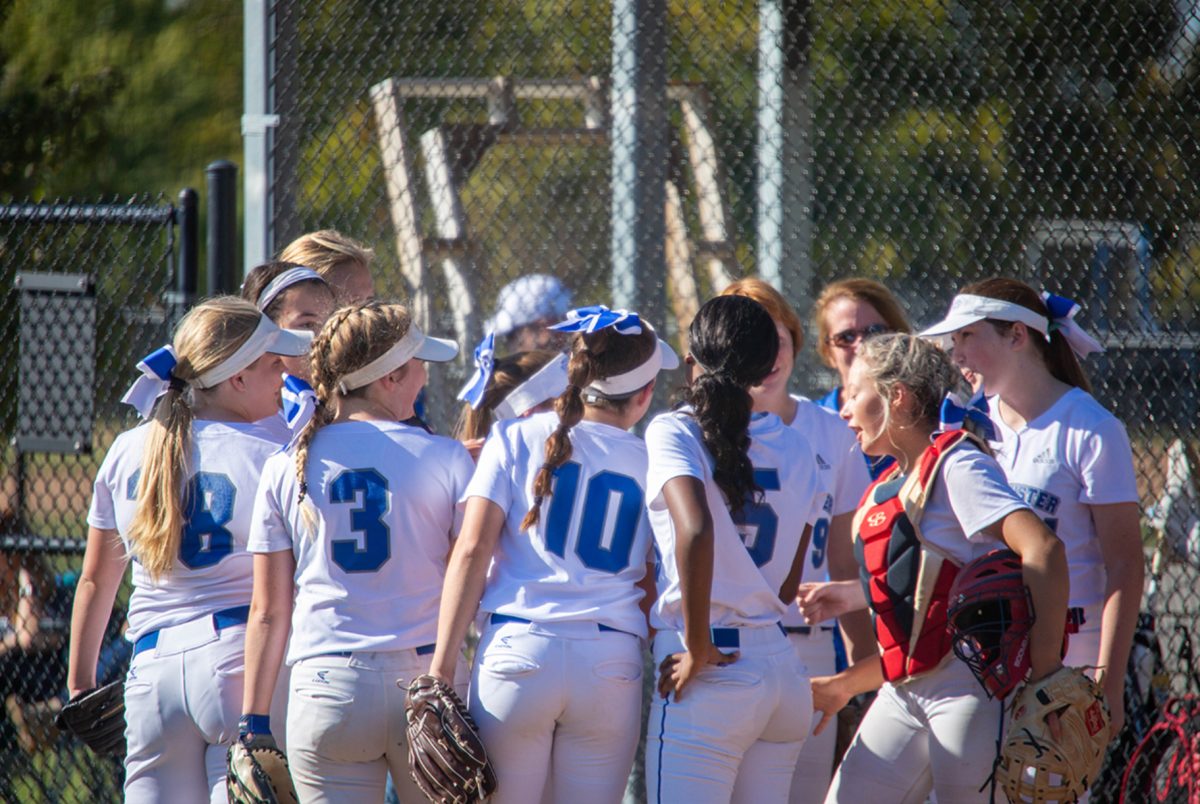 Cats get ready to take the field after a break