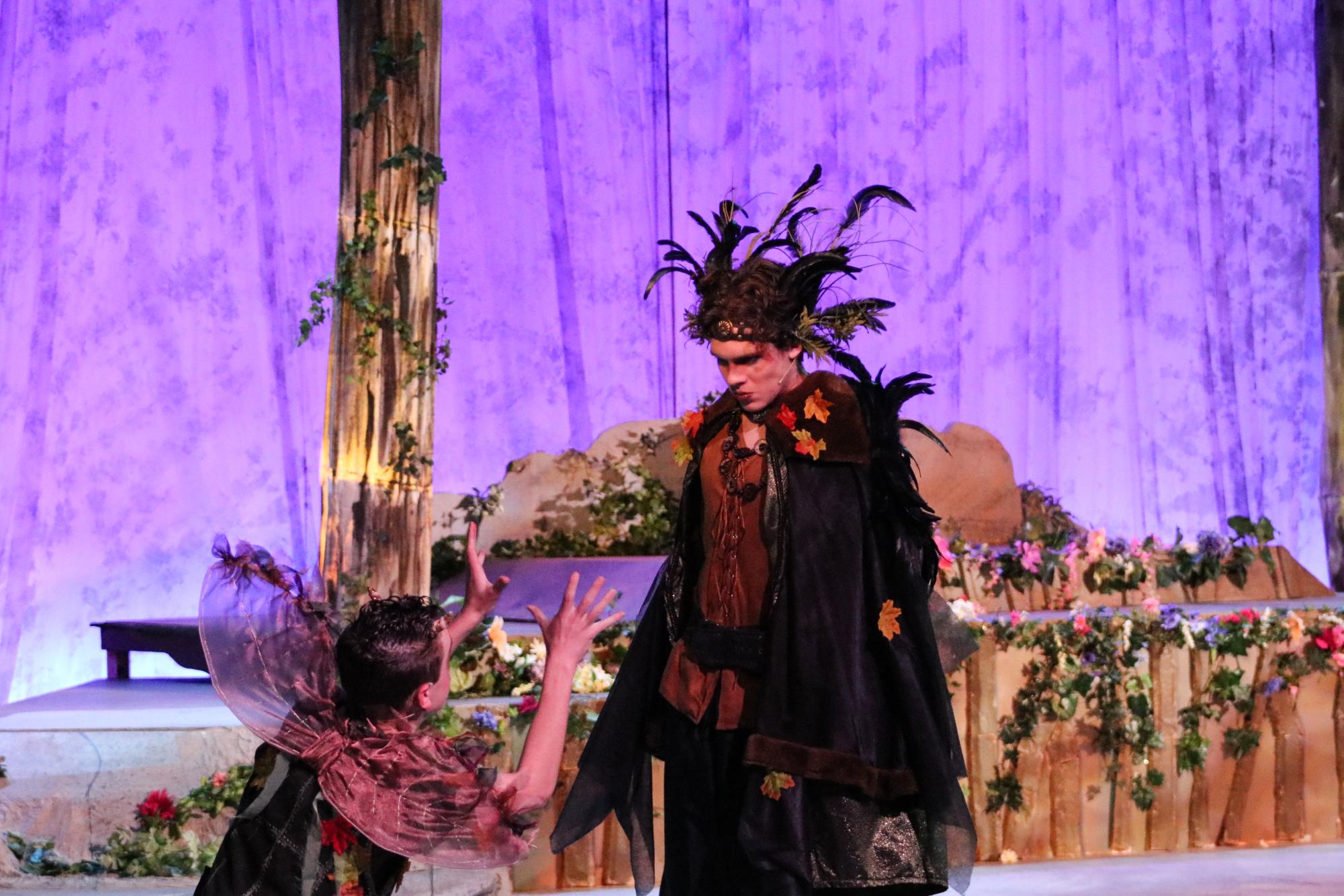 A Midsummer's Night Dream
