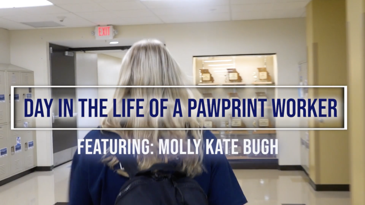Day in the Life of a Pawprint Worker