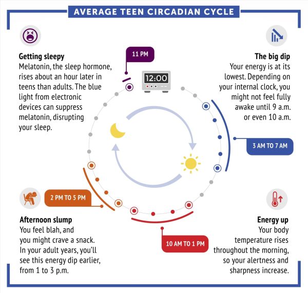 Graph shows the average energy cycle for teens