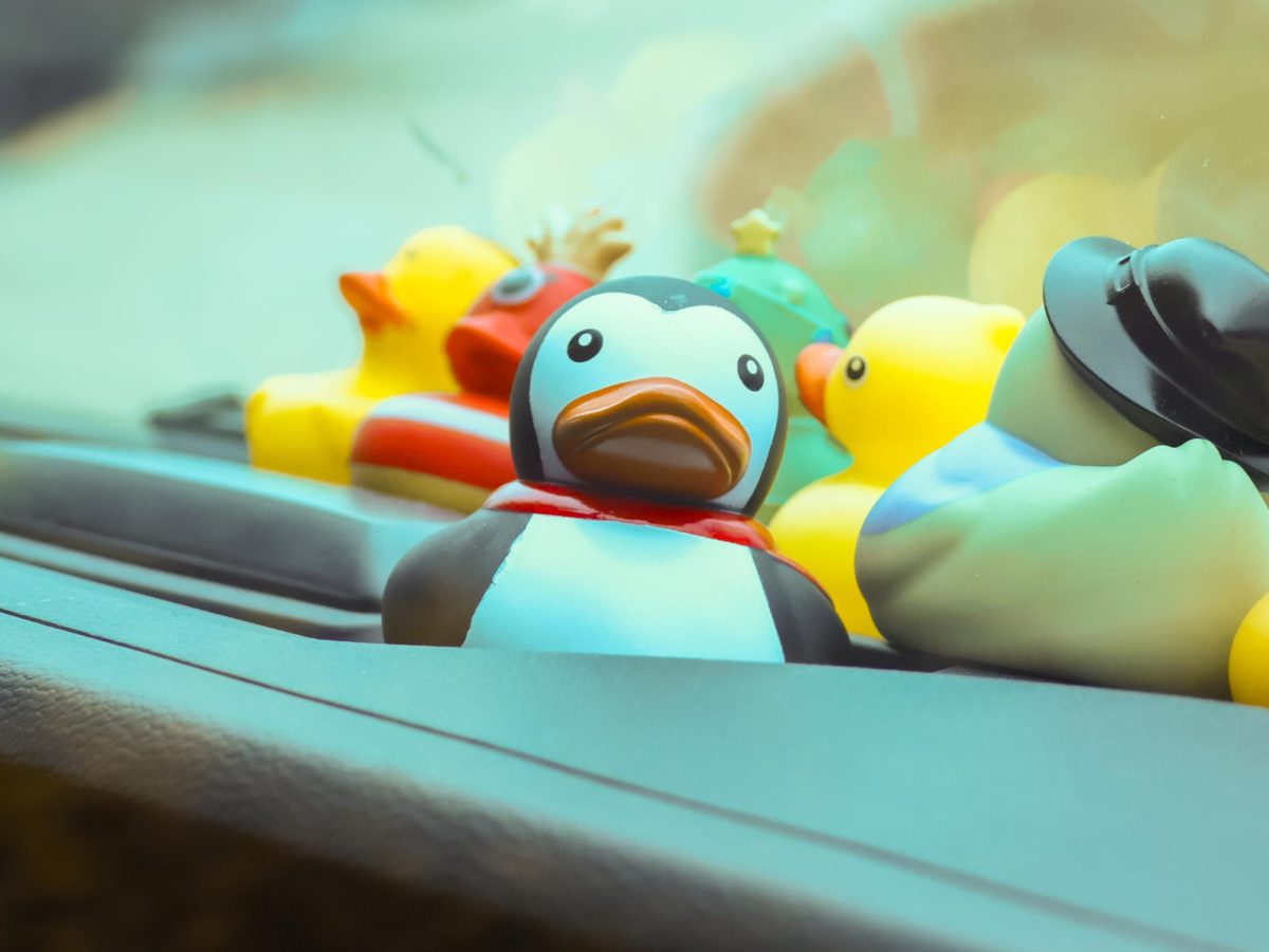 A rubber duck sits on a Jeep's dashboard, surrounded by other ducks and staring into the camera.