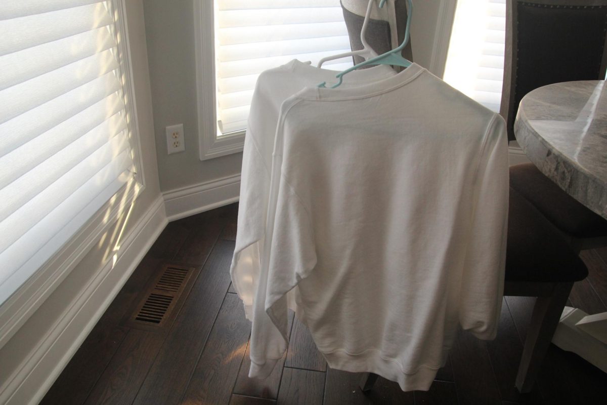 A Picture of Two Plain White T-Shirts Showcases How Creativity in the Fashion Industry Has Dwindled